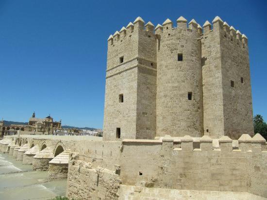Piso Con Solarium Calahorra Con Solera Parking Privado Gratis Leilighet Córdoba Eksteriør bilde