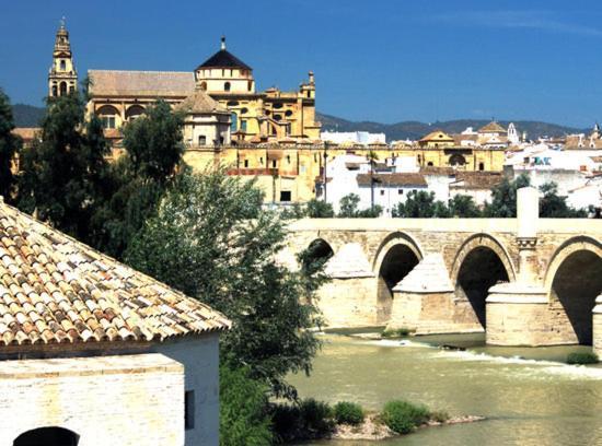 Piso Con Solarium Calahorra Con Solera Parking Privado Gratis Leilighet Córdoba Eksteriør bilde